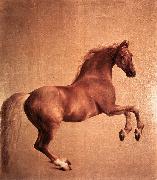 STUBBS, George Whistlejacket r oil painting artist